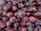A close-up view of a large pile of red onions, displaying various sizes and shapes. The onions have a rich, deep purple outer layer with visible dry, papery skin peelings. Some have small roots still attached, adding to the natural texture.