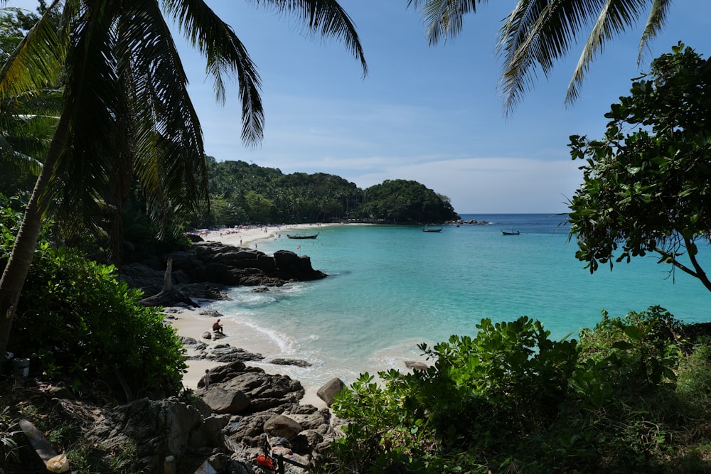 a sandy beach with a boat in the water