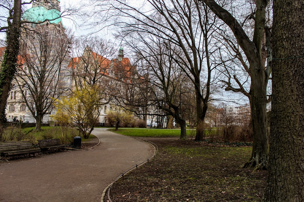 a path in a park with a clock tower in the background