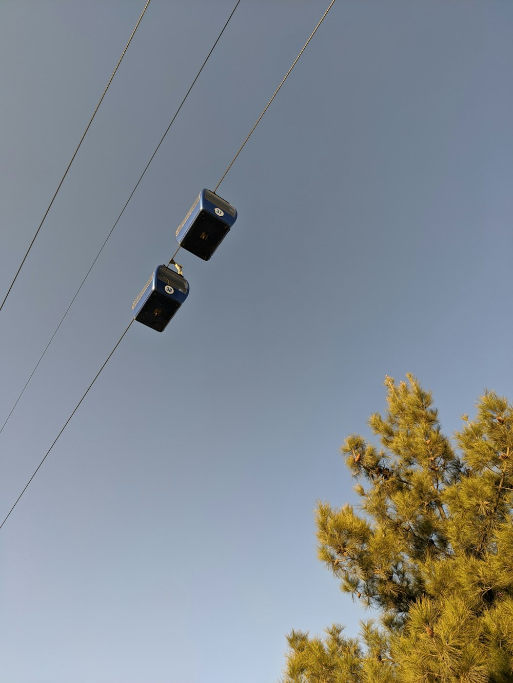 a couple of wires that are above some trees