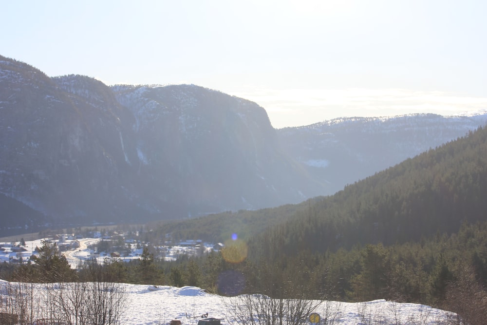 a view of a valley with a mountain in the background