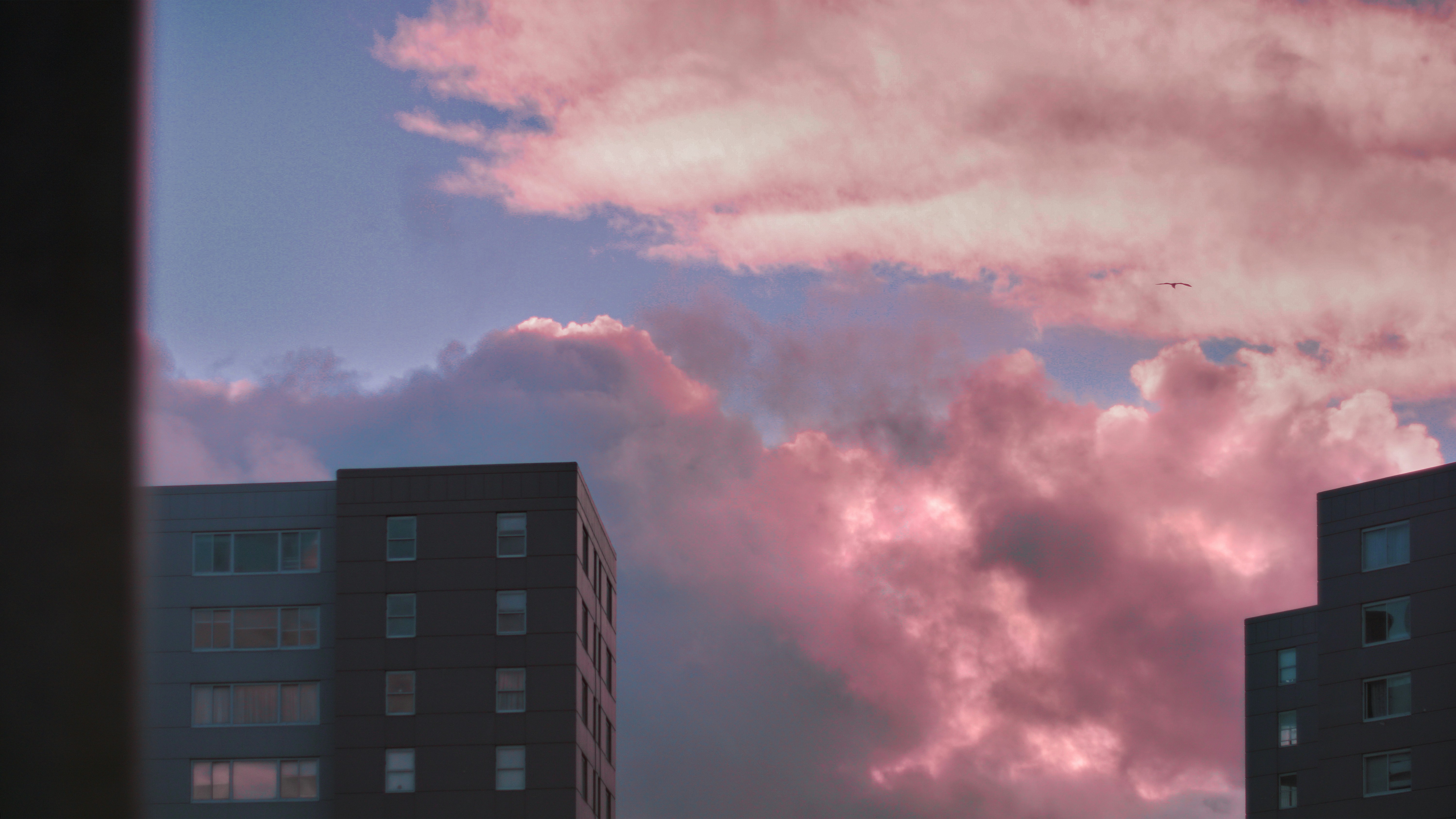 Photo by enq_1998