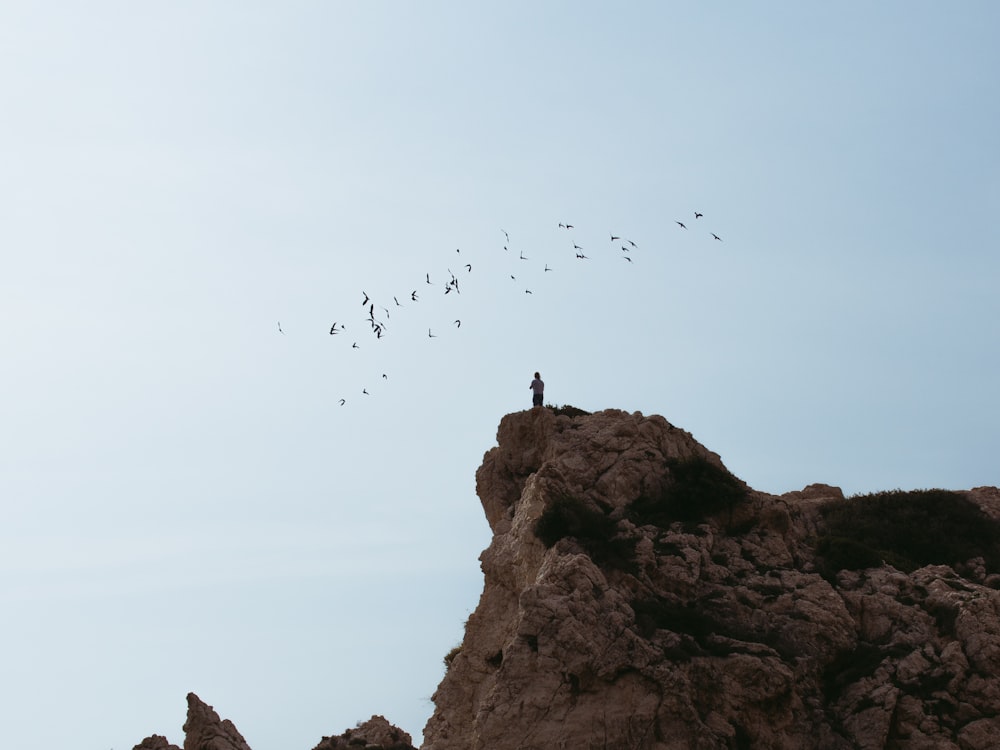 a flock of birds flying over a rocky cliff