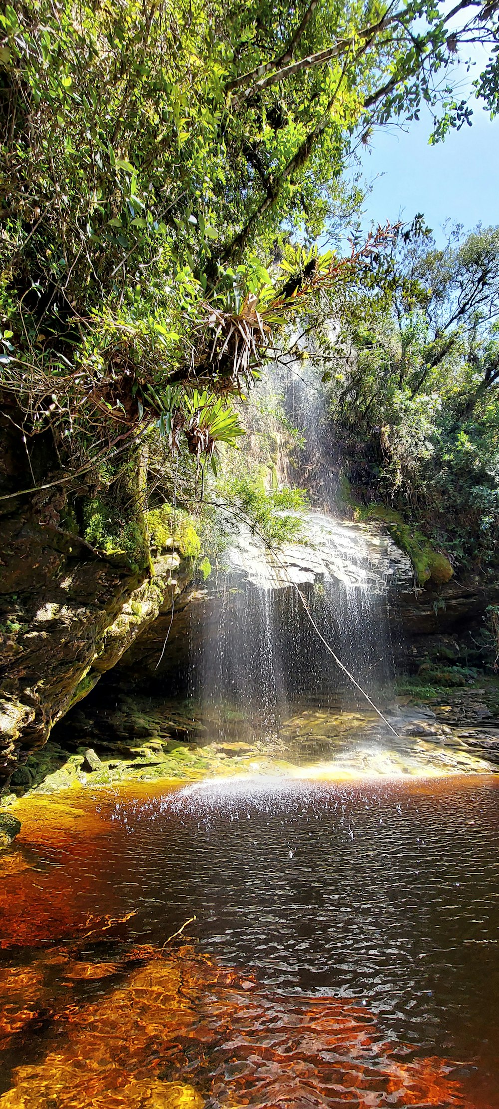 a stream of water running through a lush green forest