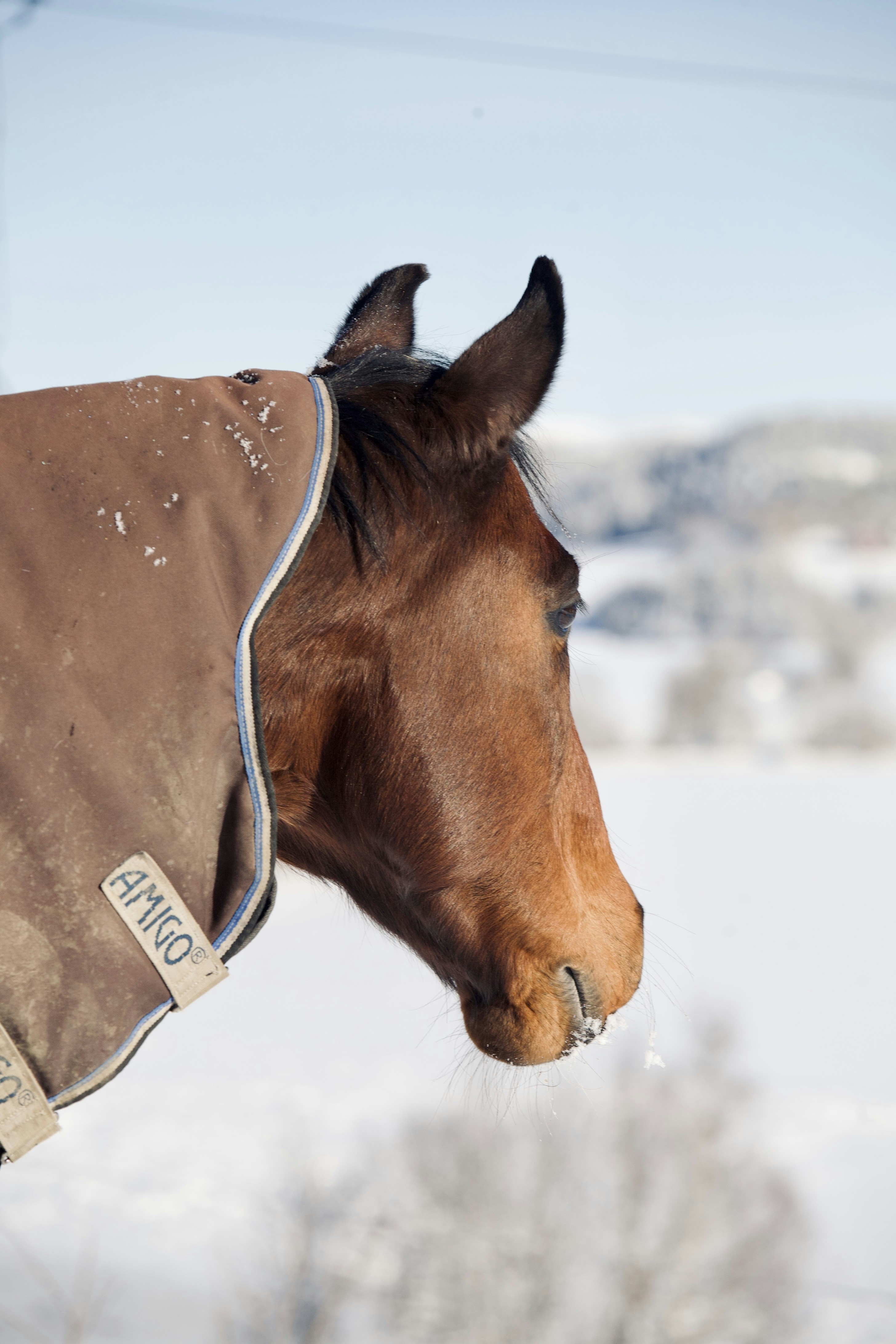 Photo by kristinokarlsen