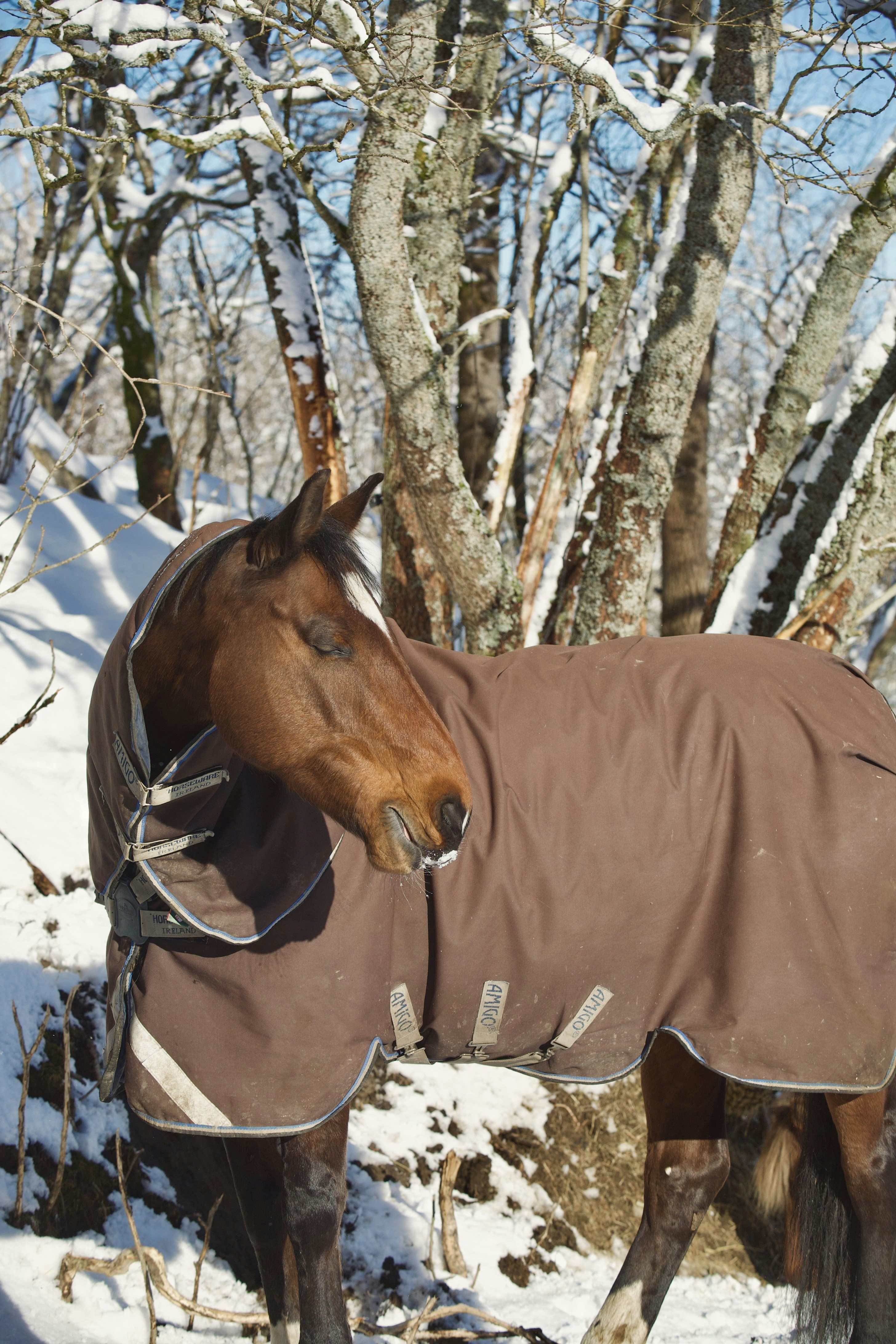 Photo by kristinokarlsen