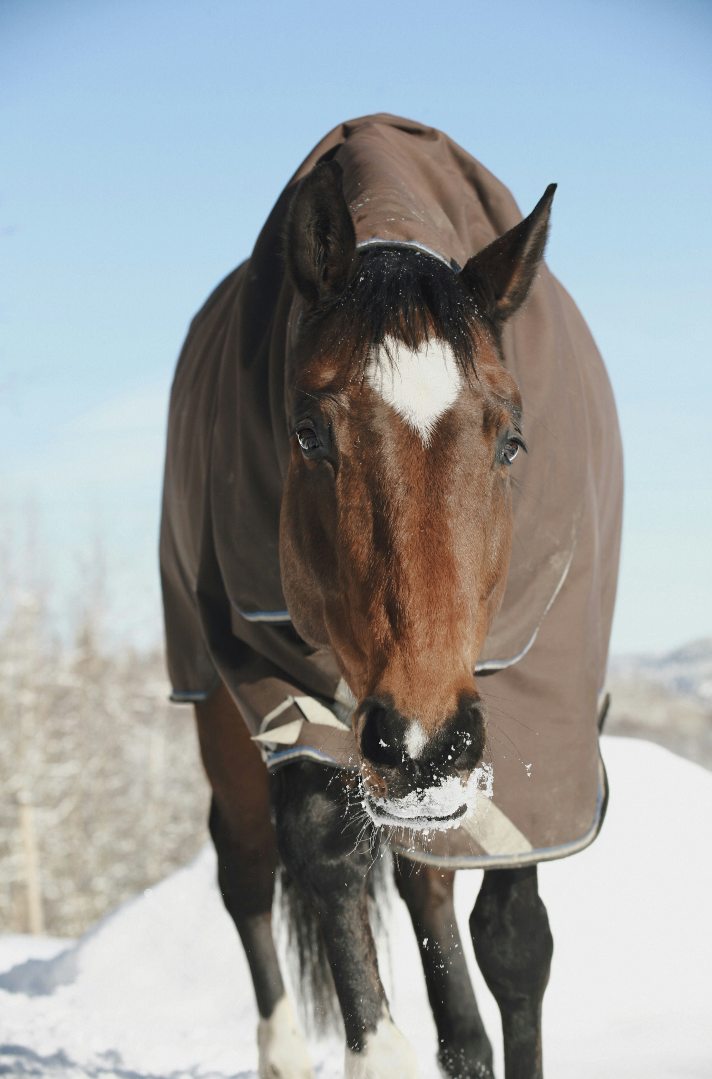 Photo by kristinokarlsen