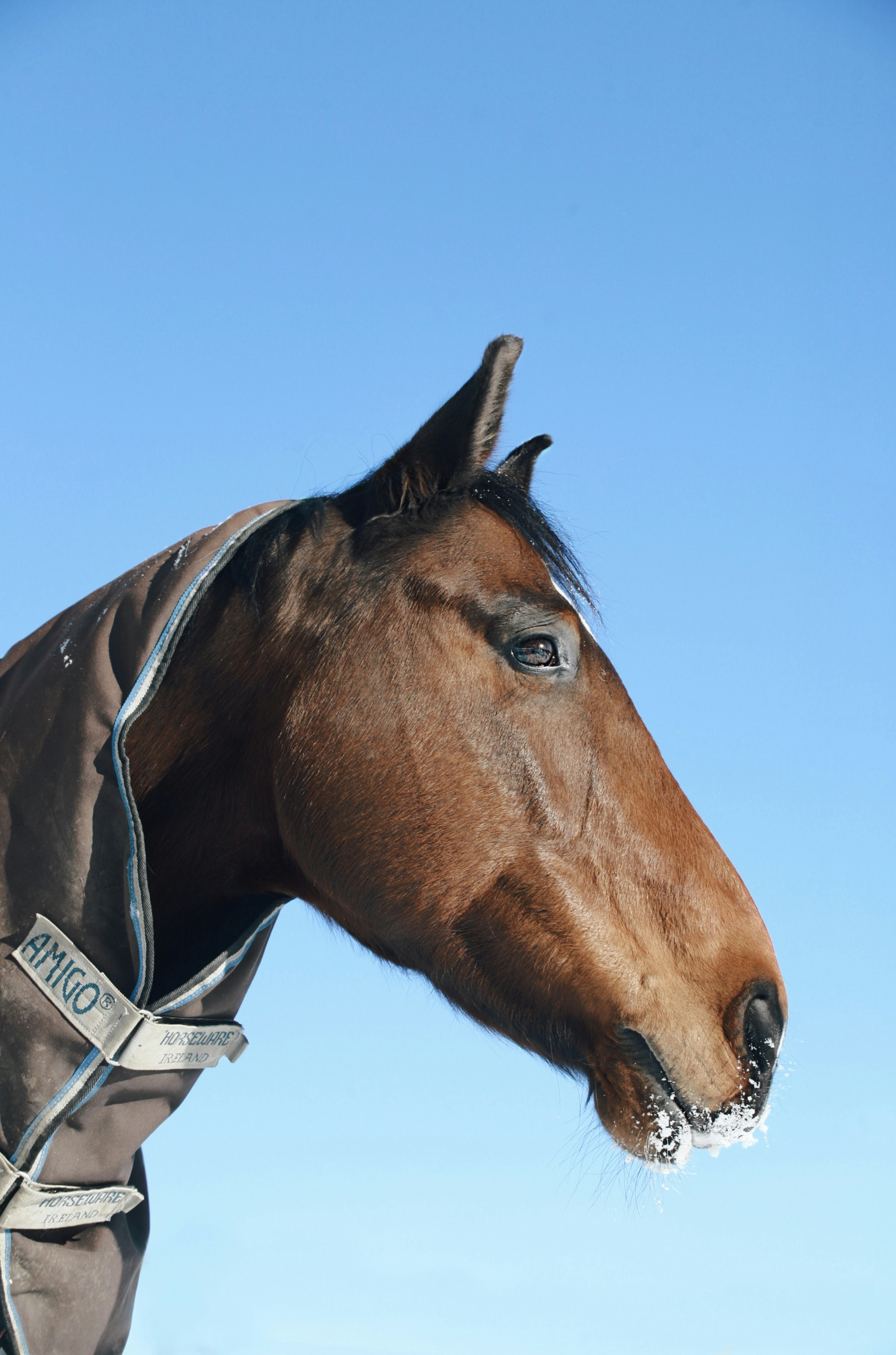 Photo by kristinokarlsen