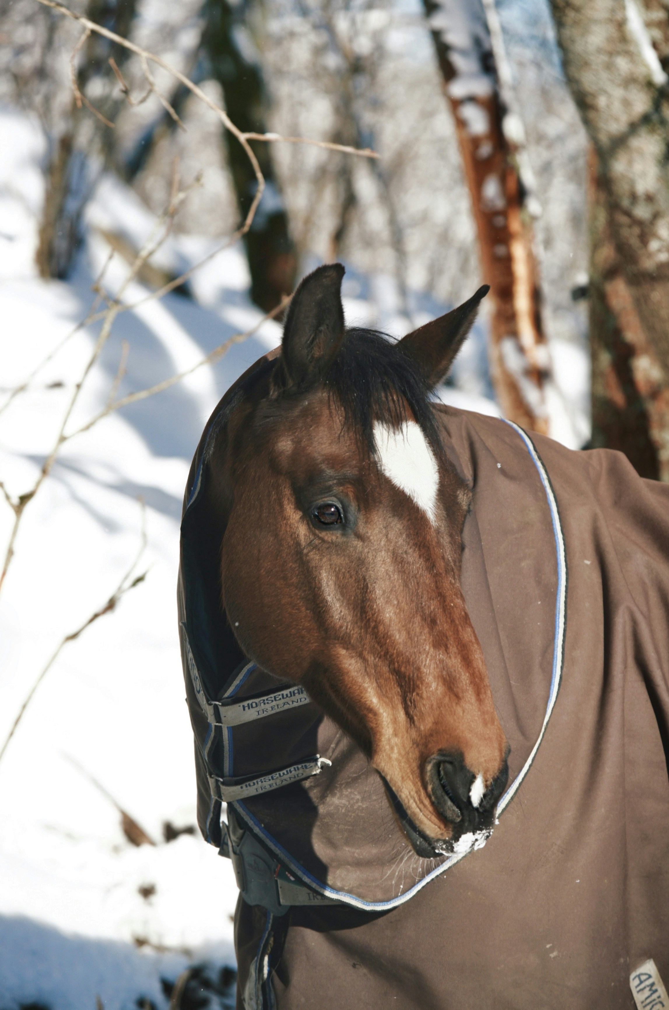 Photo by kristinokarlsen