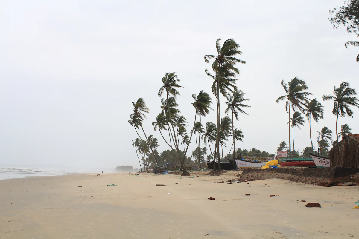 Srivardhan