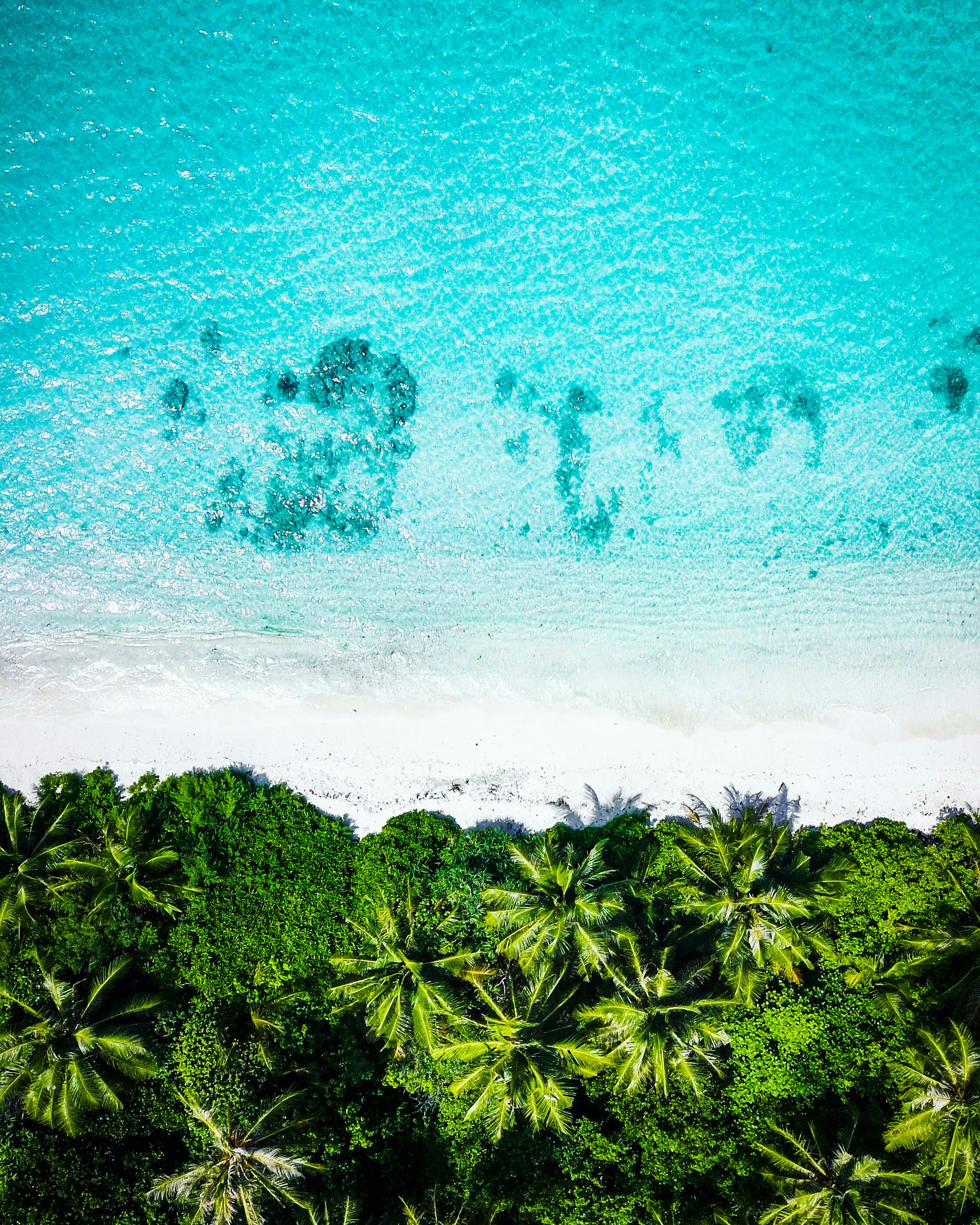 Photo by fromtinyisles