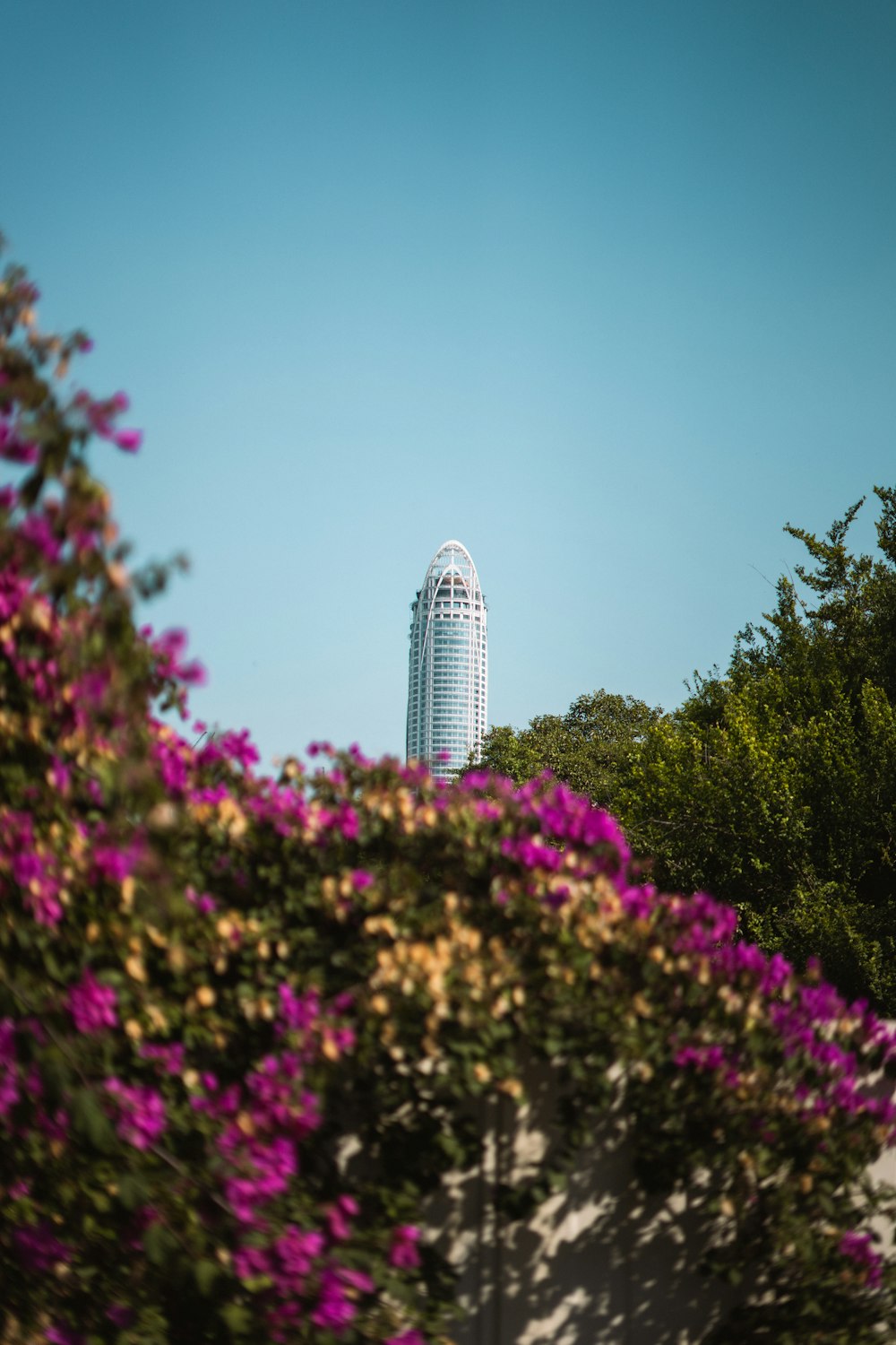 a tall building surrounded by trees and purple flowers