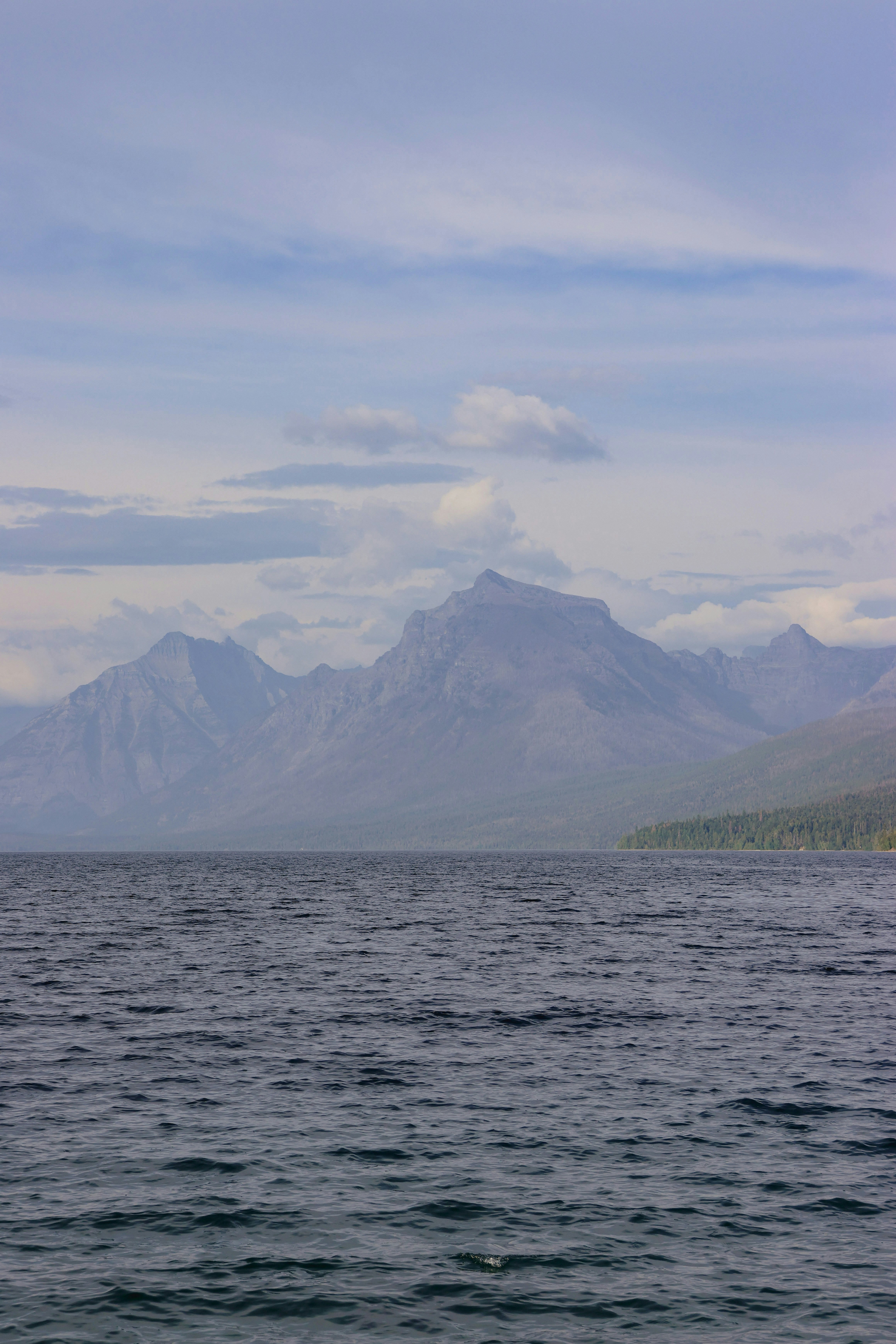 Photo by vkark