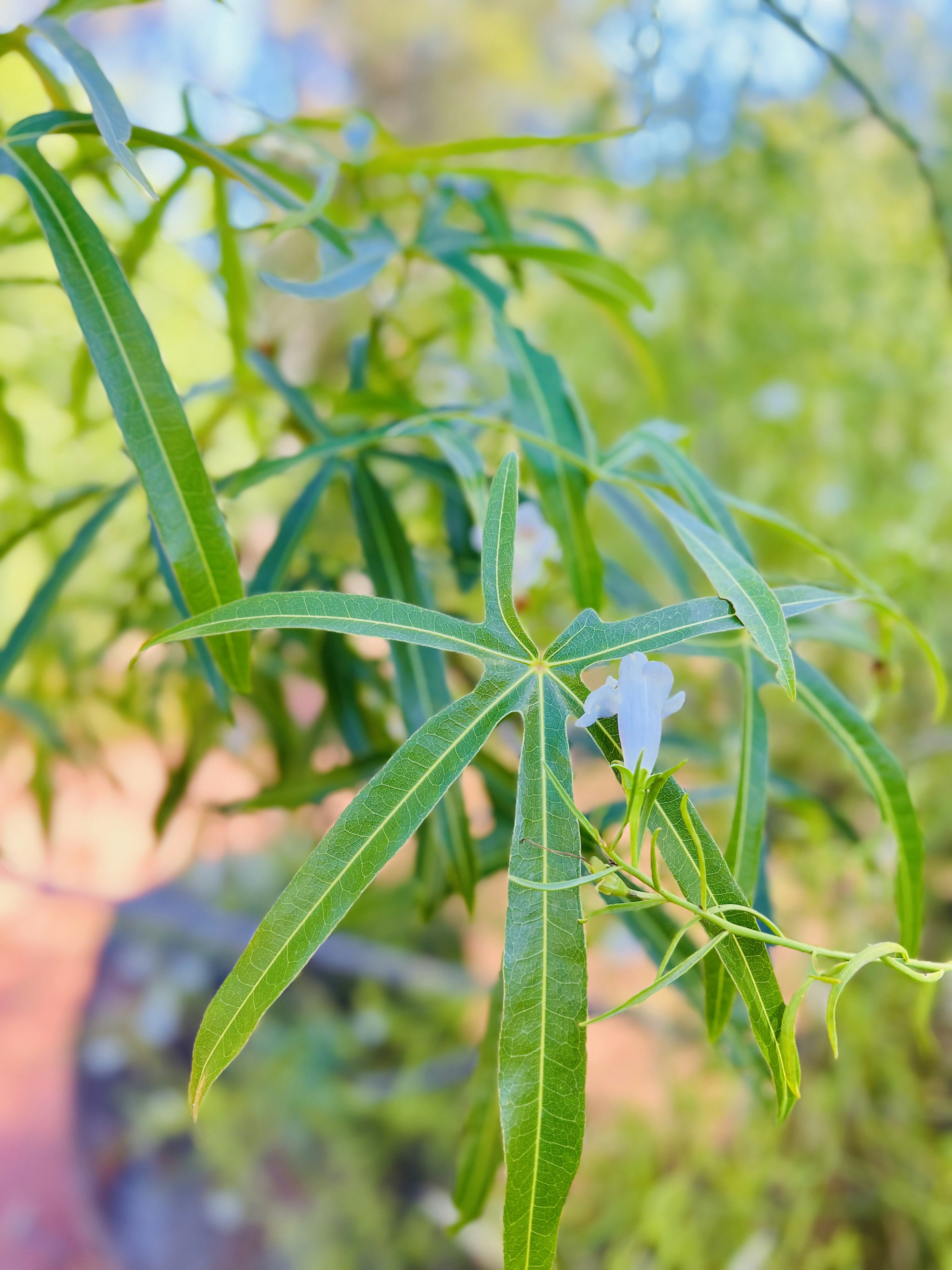 Photo by ranakrunal7558