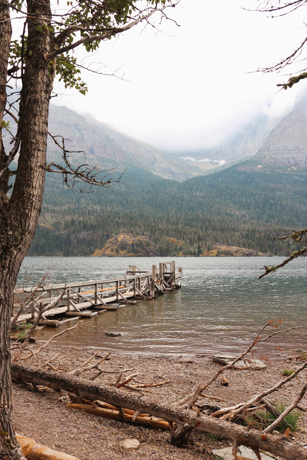 a body of water surrounded by mountains and trees