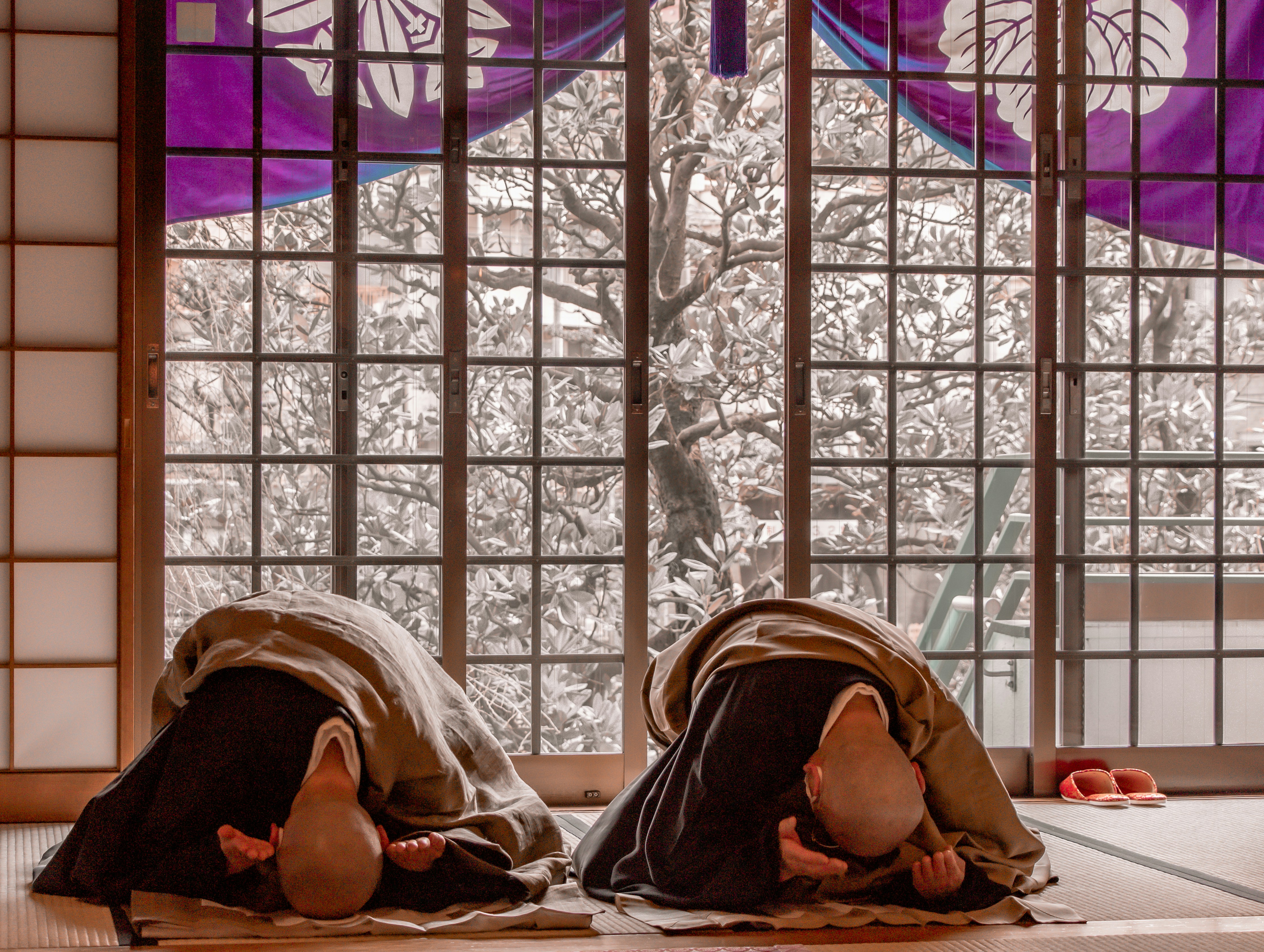 Sudden Sickness in Japan: Emergency Flu & Norovirus Steps