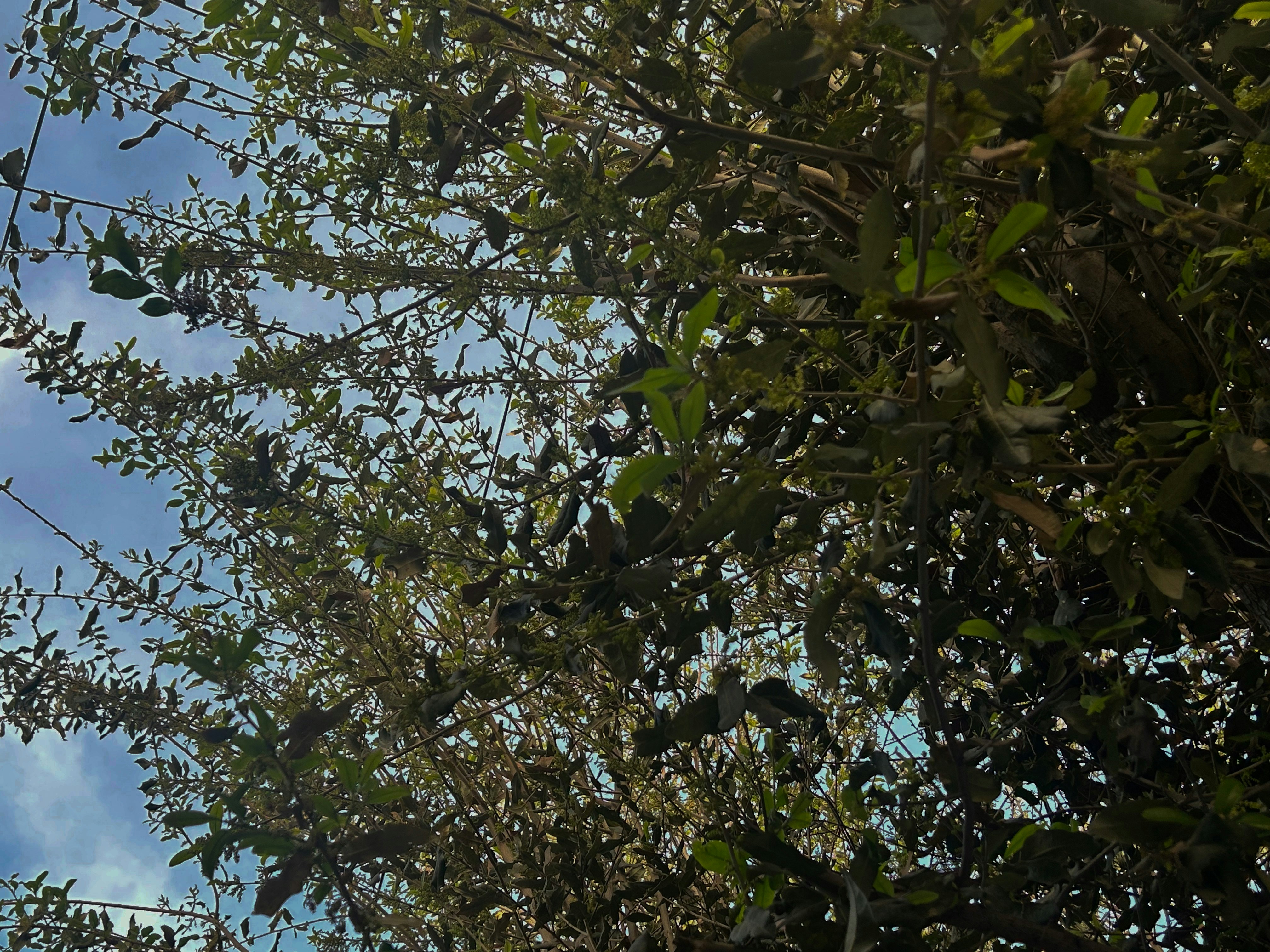 Photo by danielasakanassi