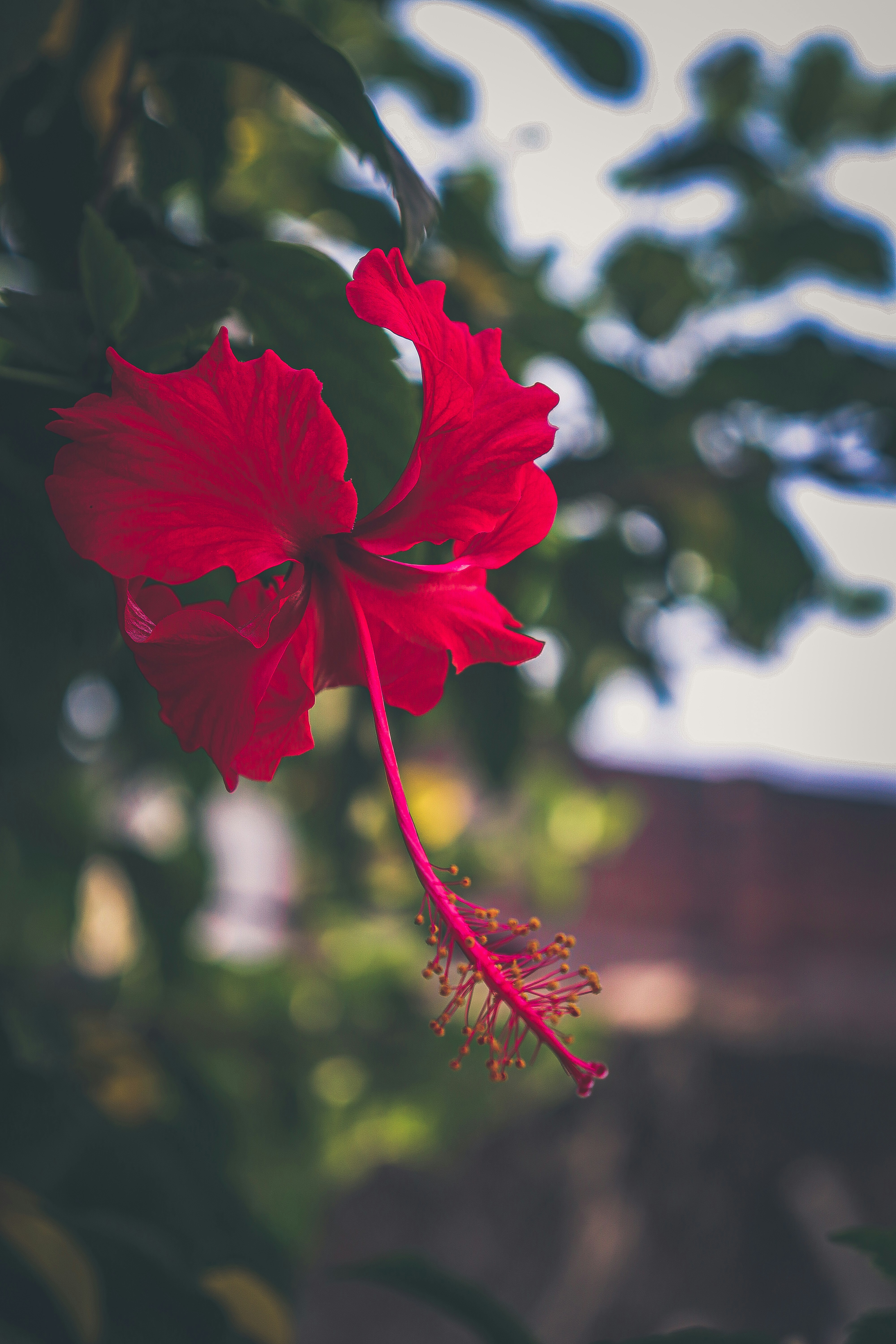 Photo by akashfreelance