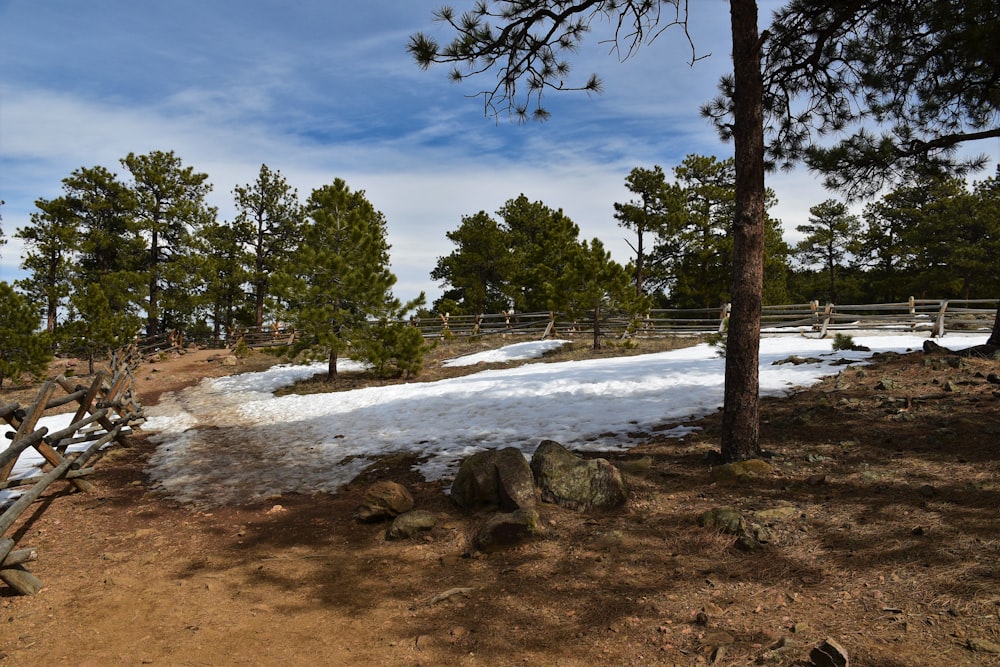 a snow covered field with trees and a fence