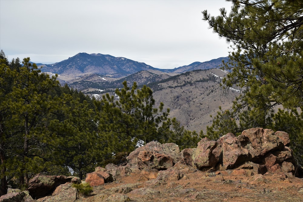 a view of a mountain range from the top of a hill