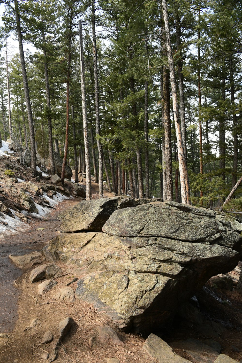 a large rock sitting on the side of a forest