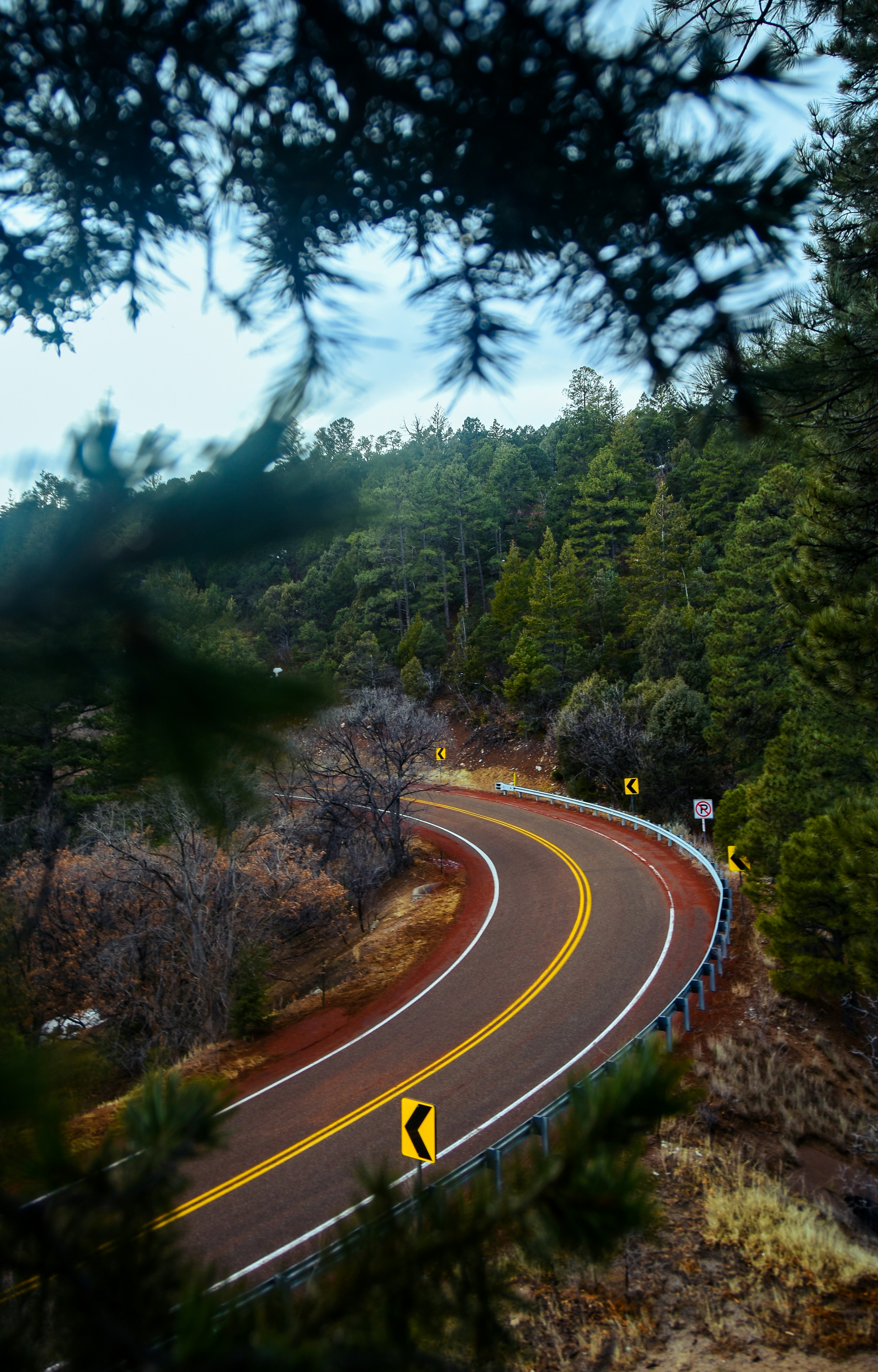Photo by scottelkins