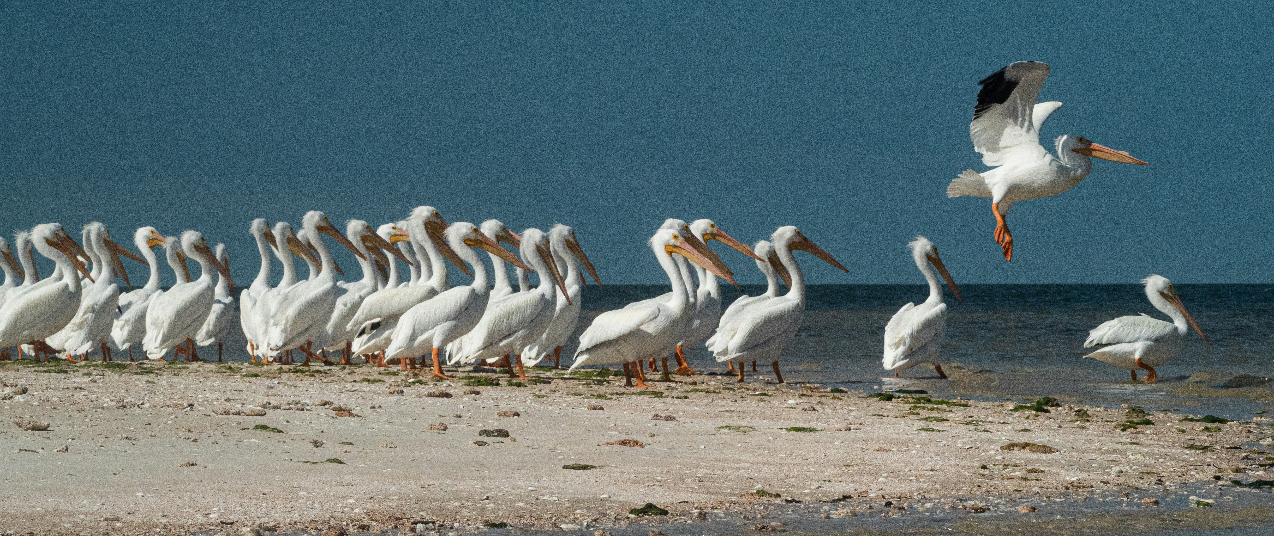 Photo by lderksen