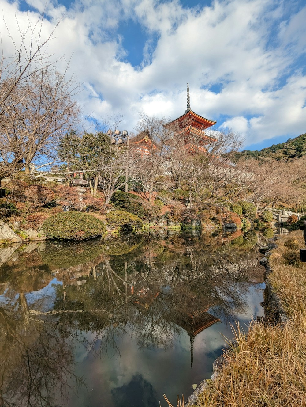 a small pond surrounded by trees and a pagoda