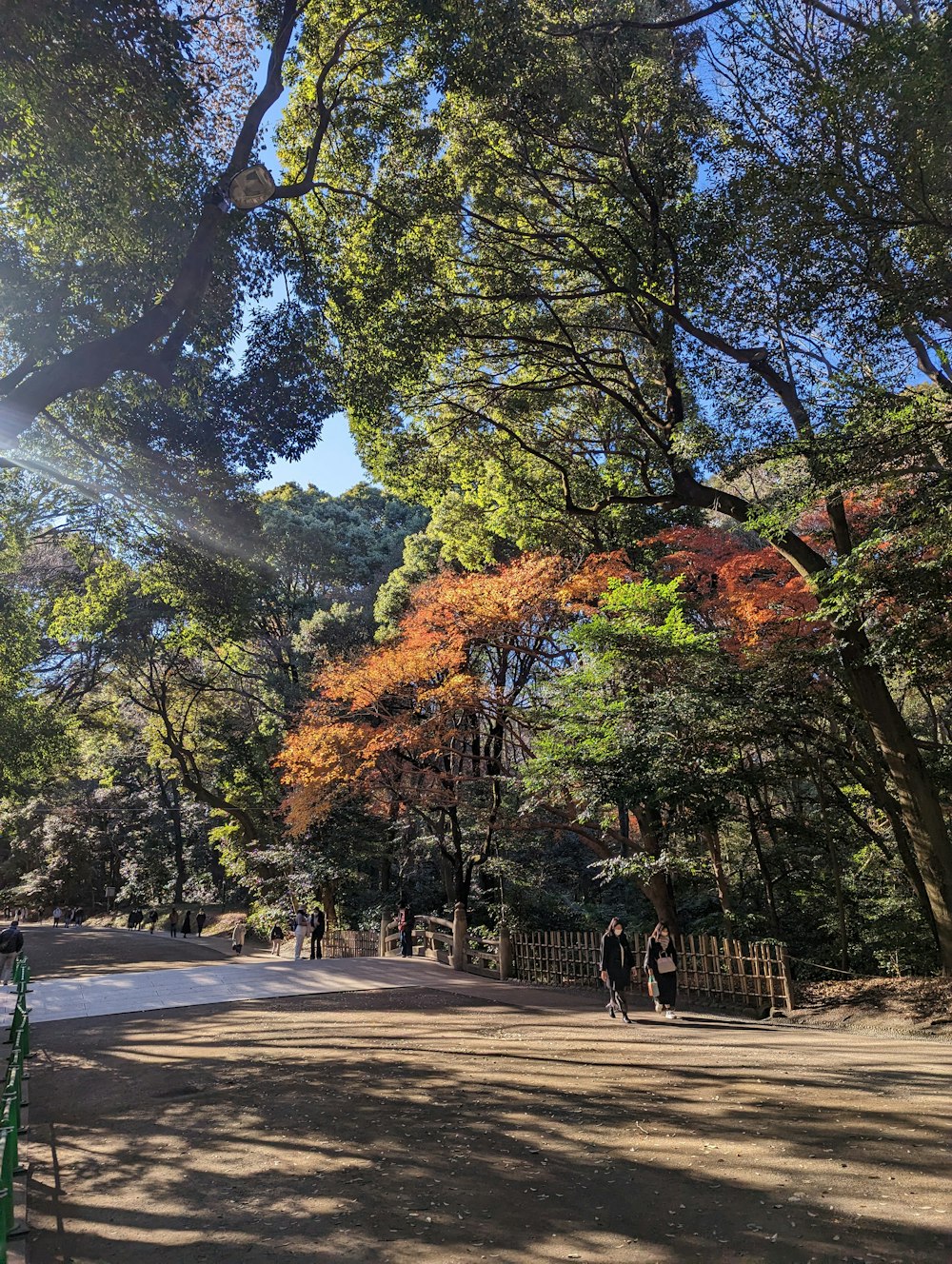 a group of people walking down a street next to trees