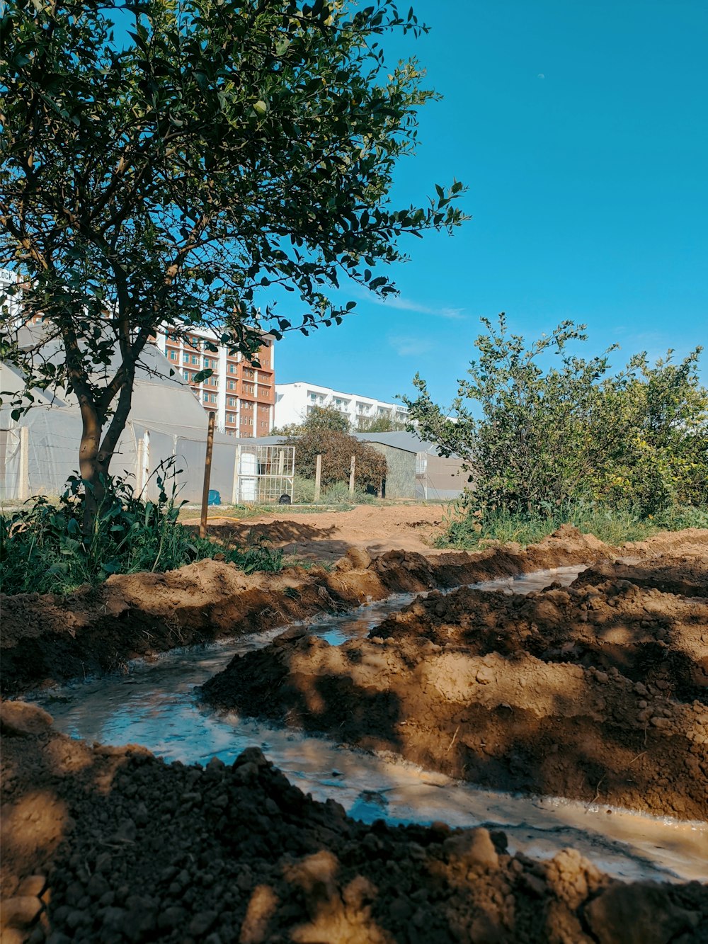 a small stream of water running through a dirt field