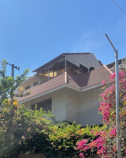 A residential building with a sloped roof is surrounded by vibrant greenery and blooming pink flowers. There is a clear blue sky in the background and the presence of poles and wires in the foreground.