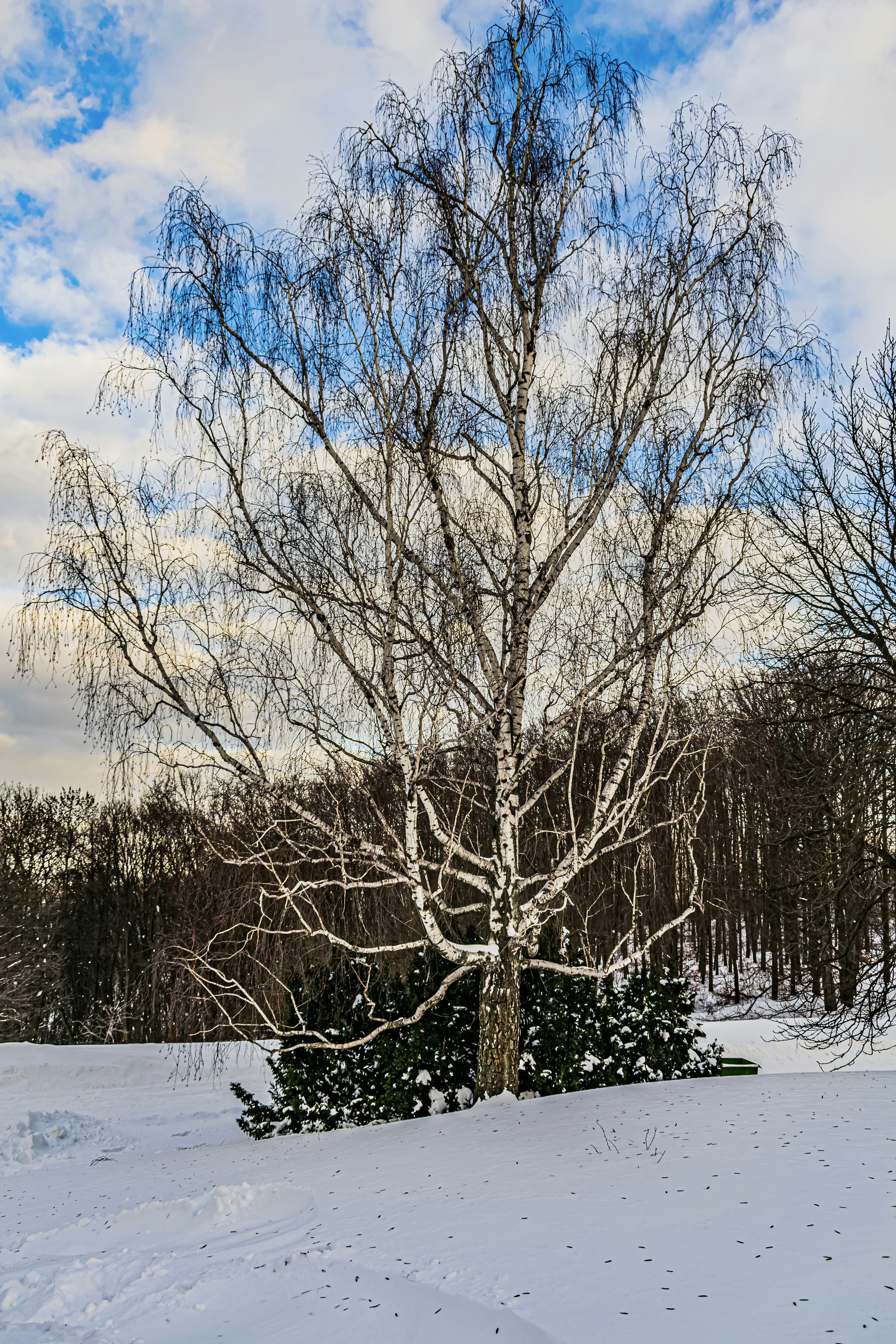 Photo by kostiantynvierkieiev