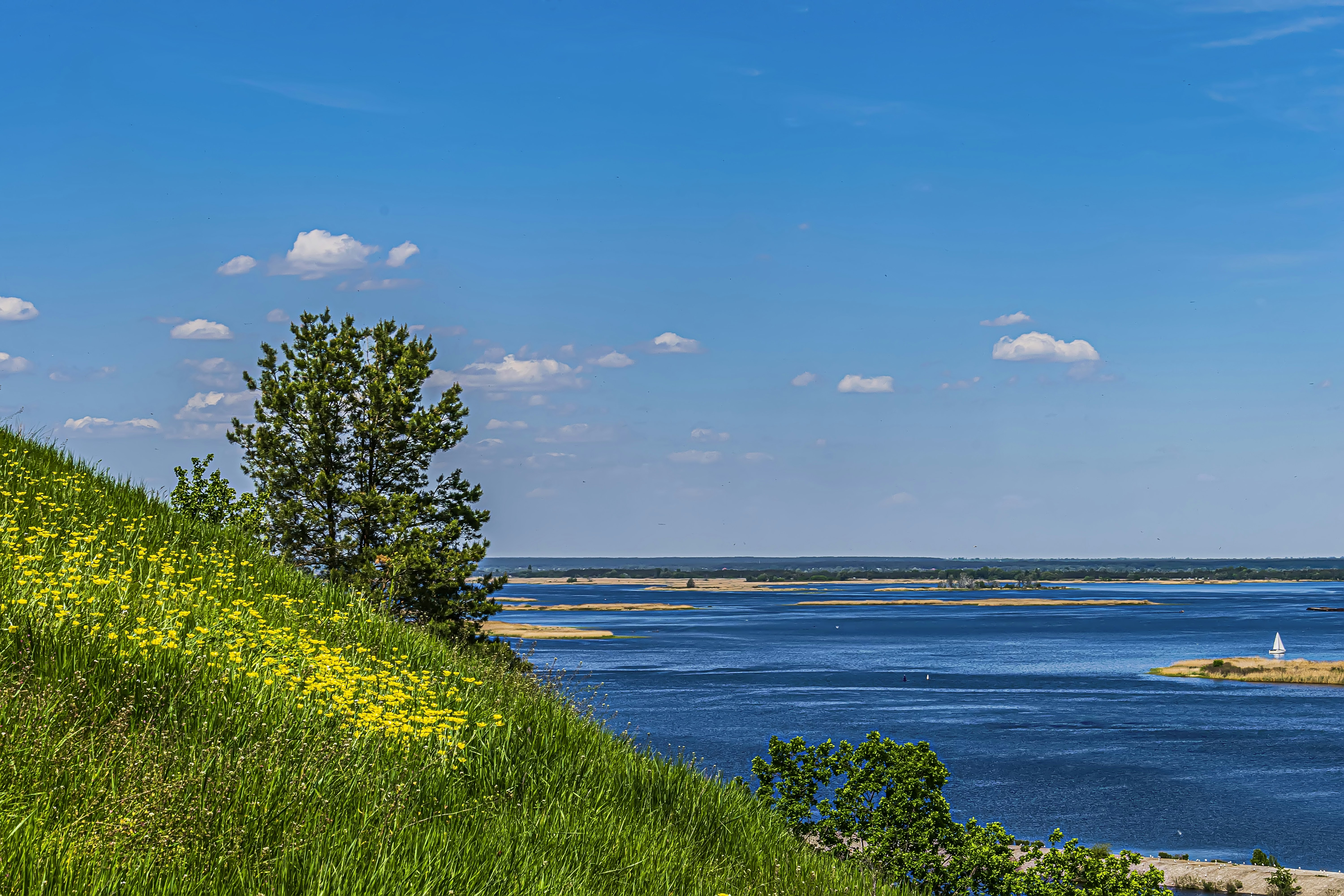 Photo by kostiantynvierkieiev