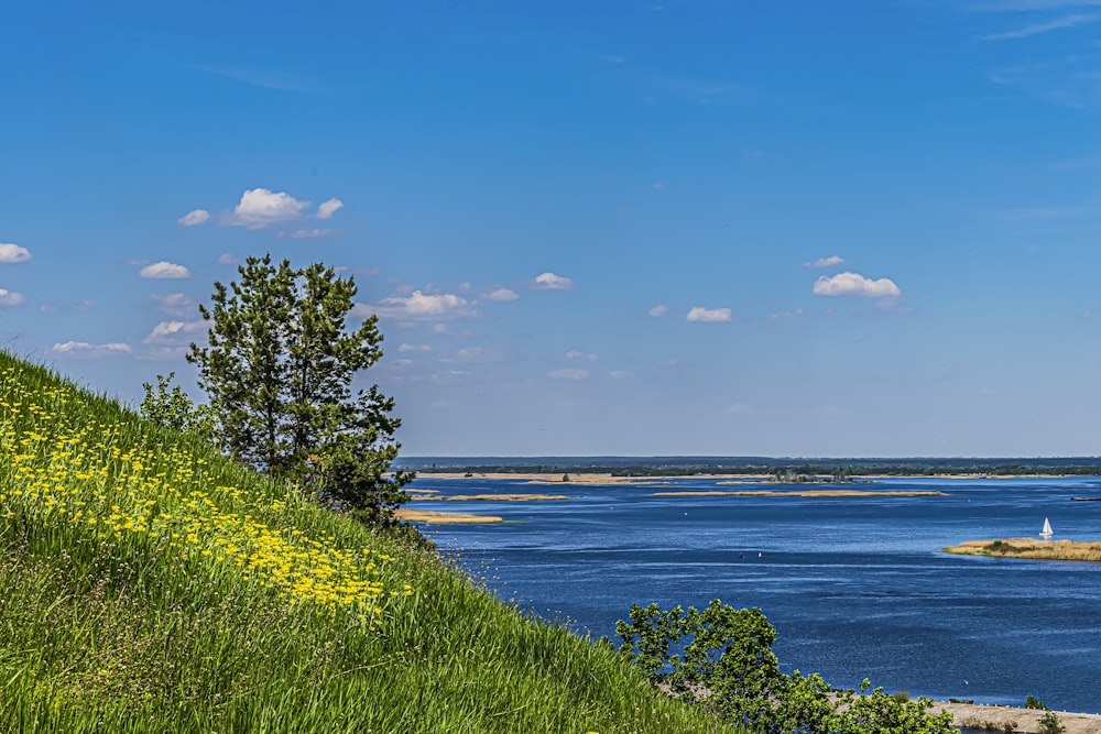 a grassy hill with a body of water in the background