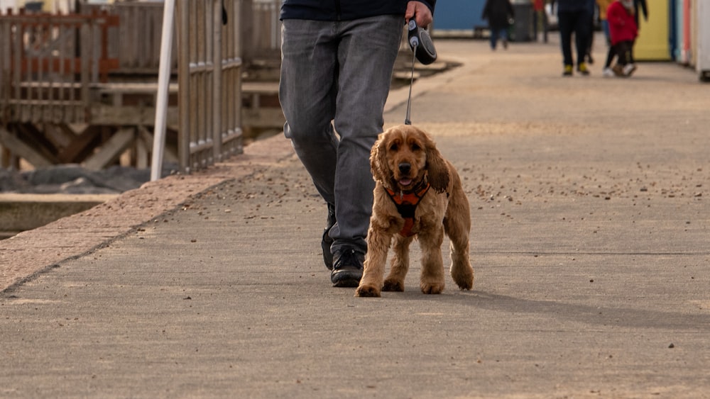 a man walking a dog down a sidewalk