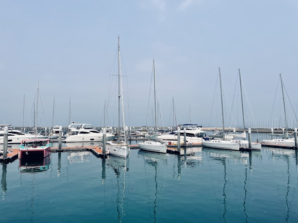 a bunch of boats that are in the water