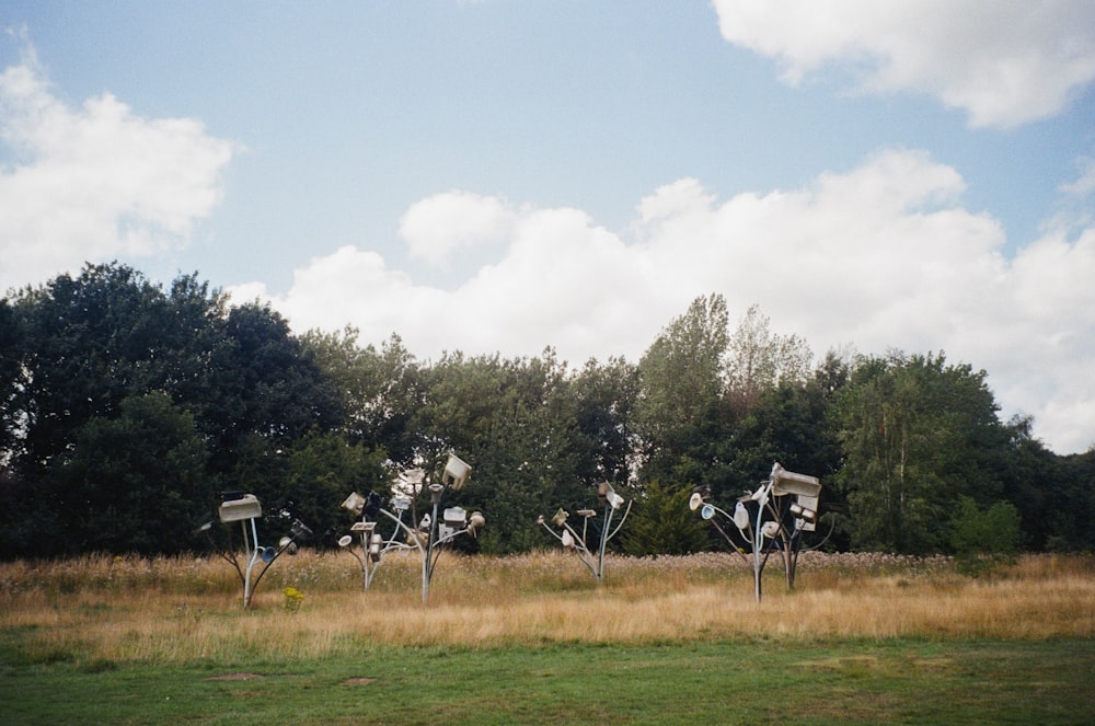 a field with a bunch of signs in the middle of it