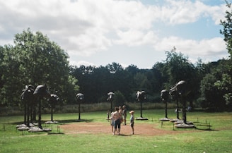 An outdoor exhibition with art installations in a natural setting.