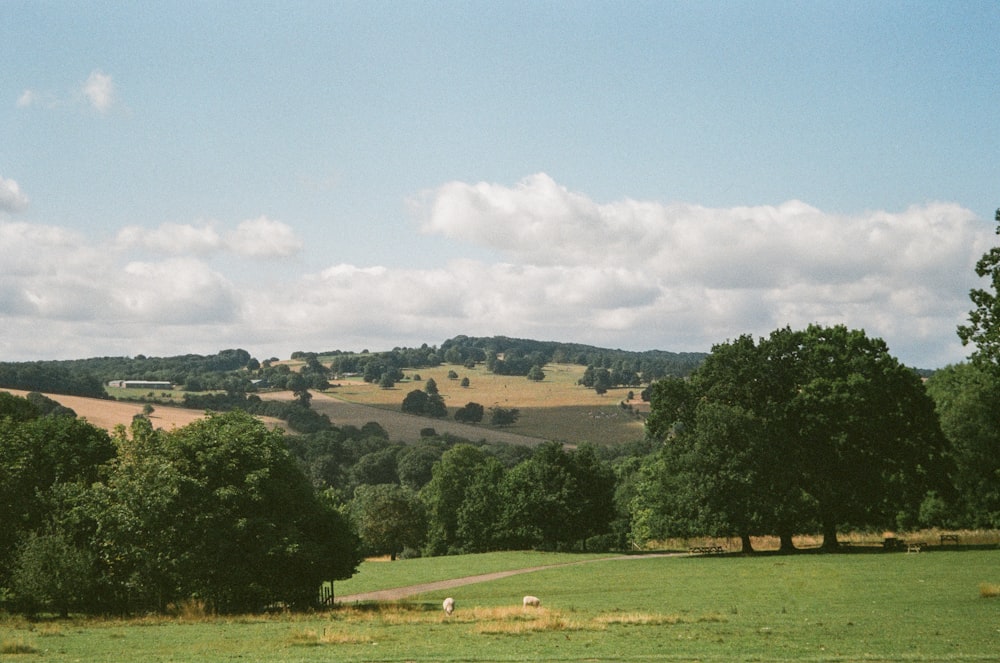 a grassy field with trees and hills in the background