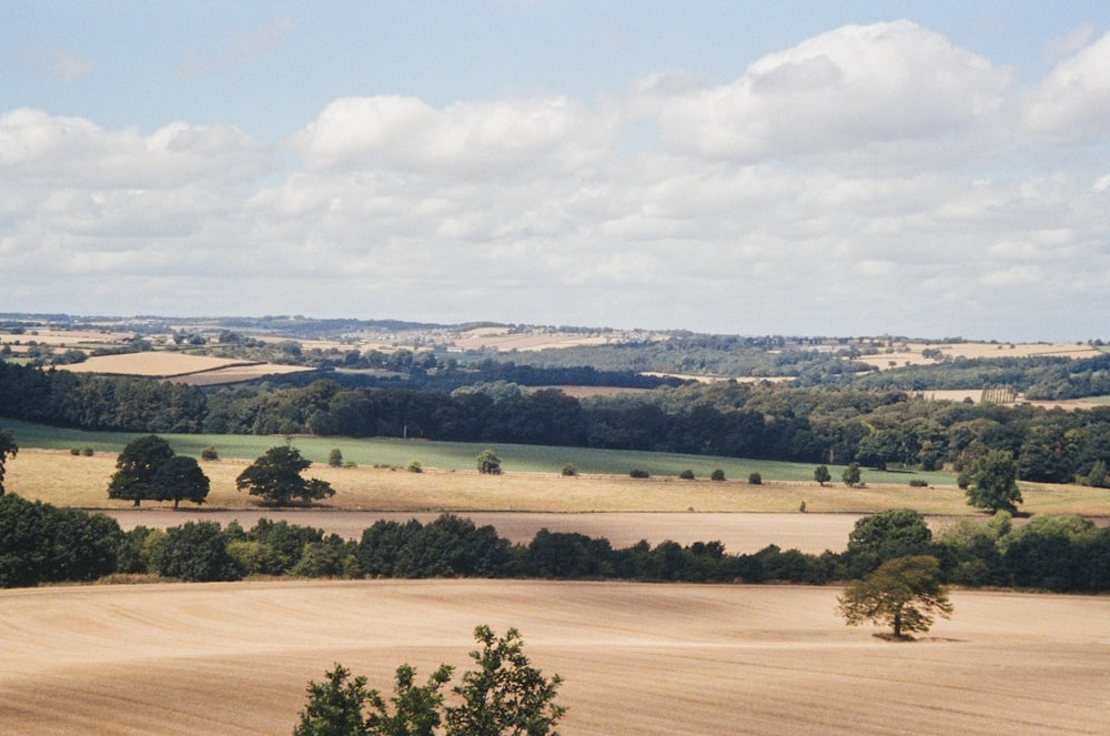 a view of a field with trees in the distance