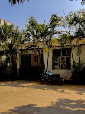 A building with a sign indicating a cafeteria, surrounded by tall palm trees. A blue motorcycle is parked in the shaded area near the entrance. The sky is clear and the pavement is sunlit.