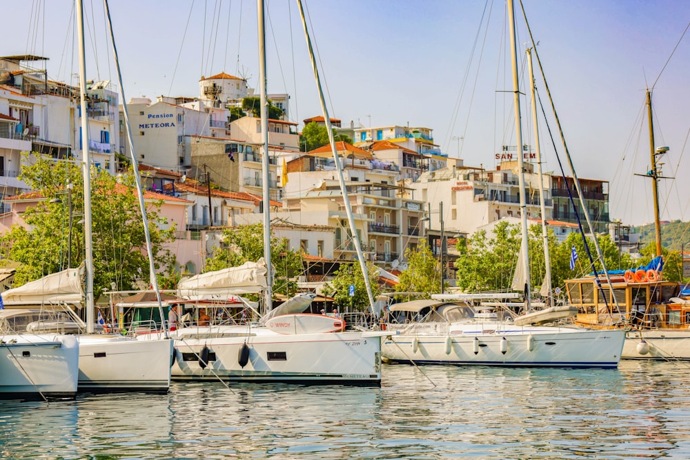 a group of sailboats docked in a harbor