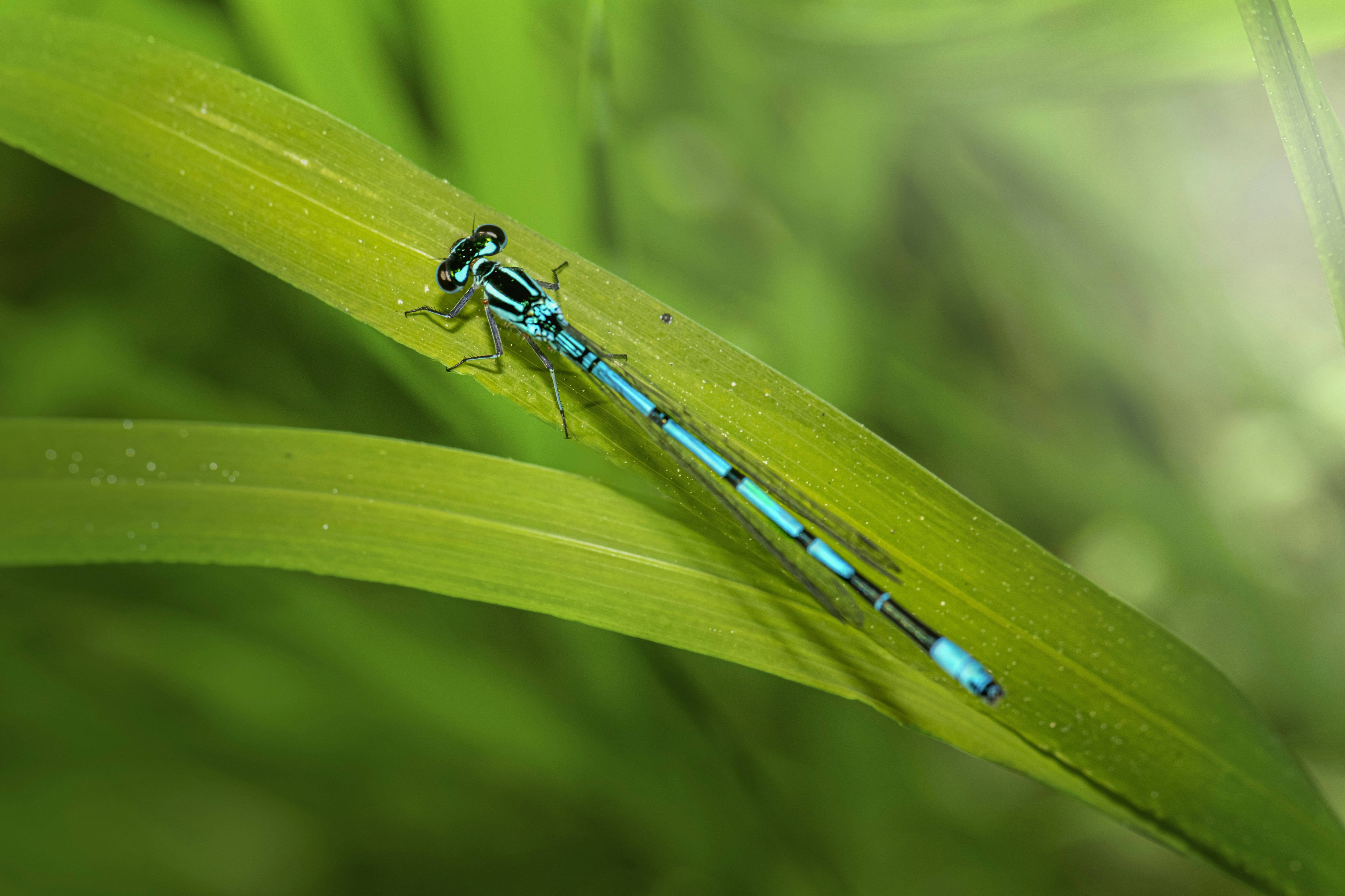 Photo by erik_karits