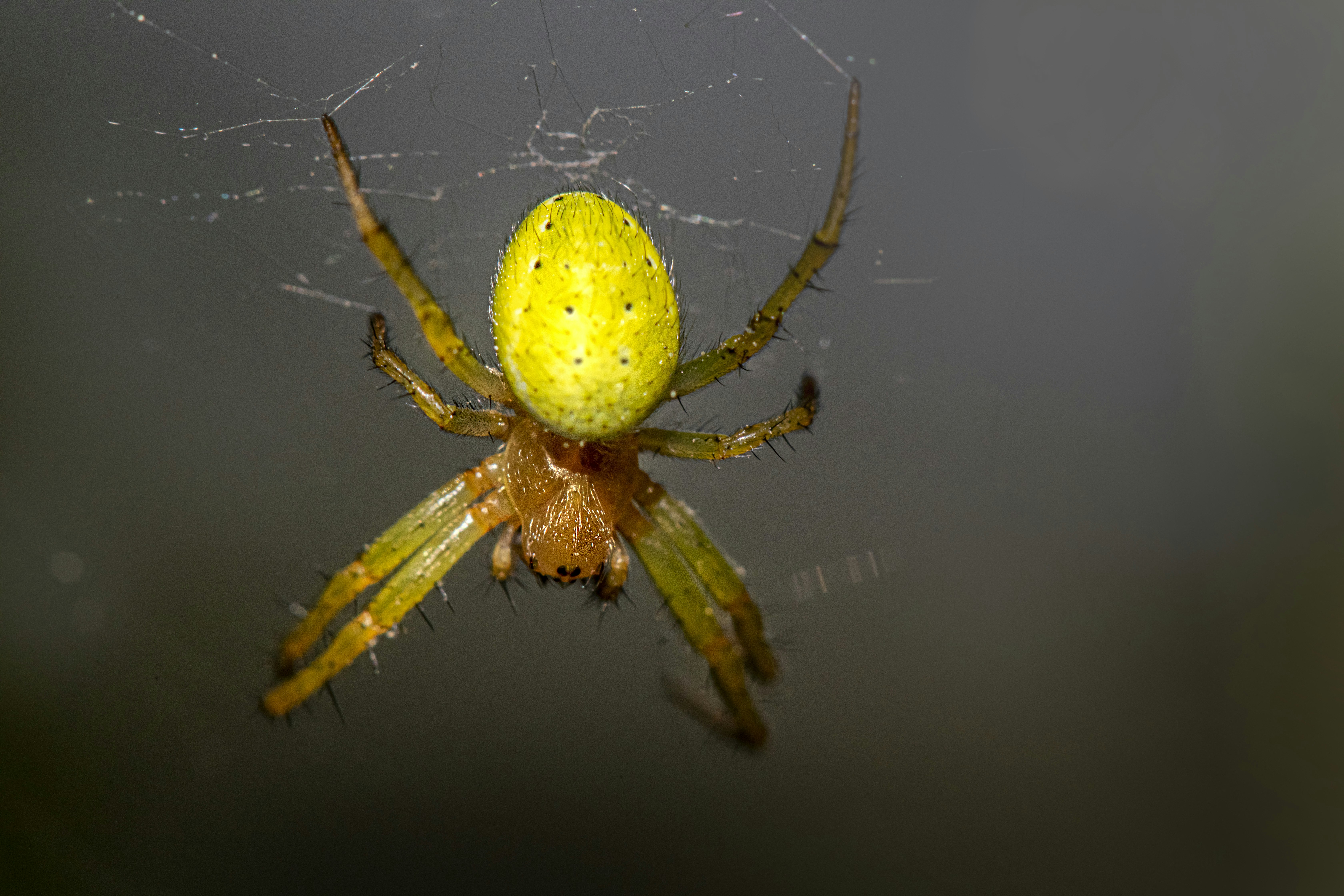 Photo by erik_karits