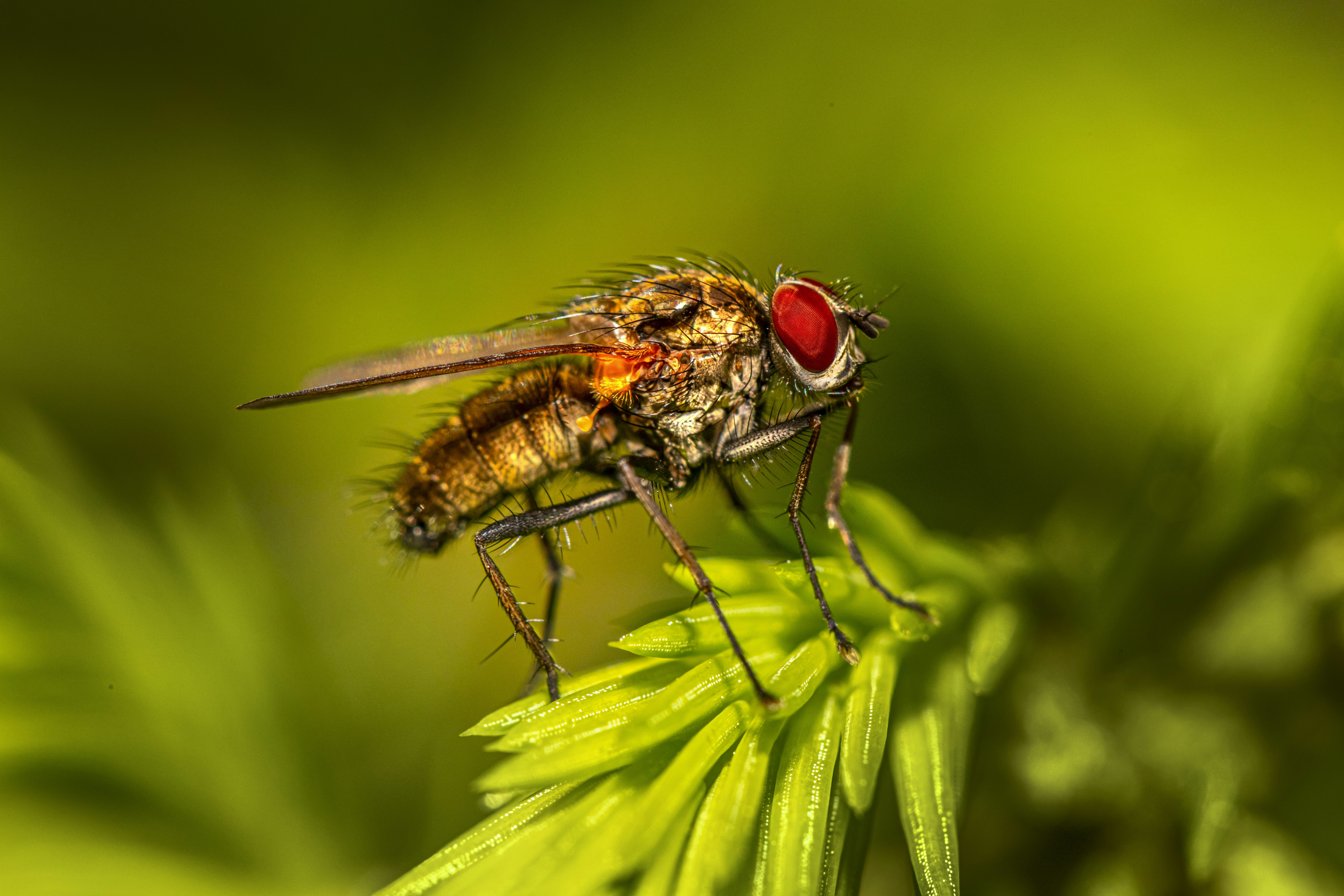 Photo by erik_karits