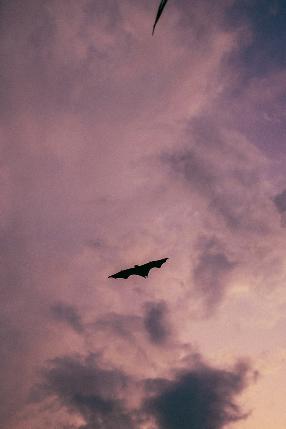 a couple of bats flying through a cloudy sky
