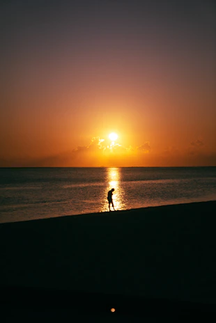 Golden sunset over a calm ocean with a silhouette of a traveler enjoying the view