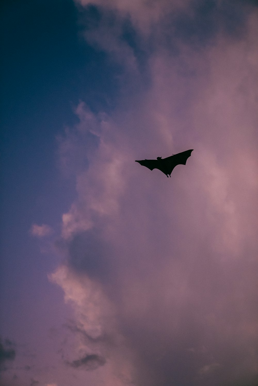 a large bat flying through a cloudy sky