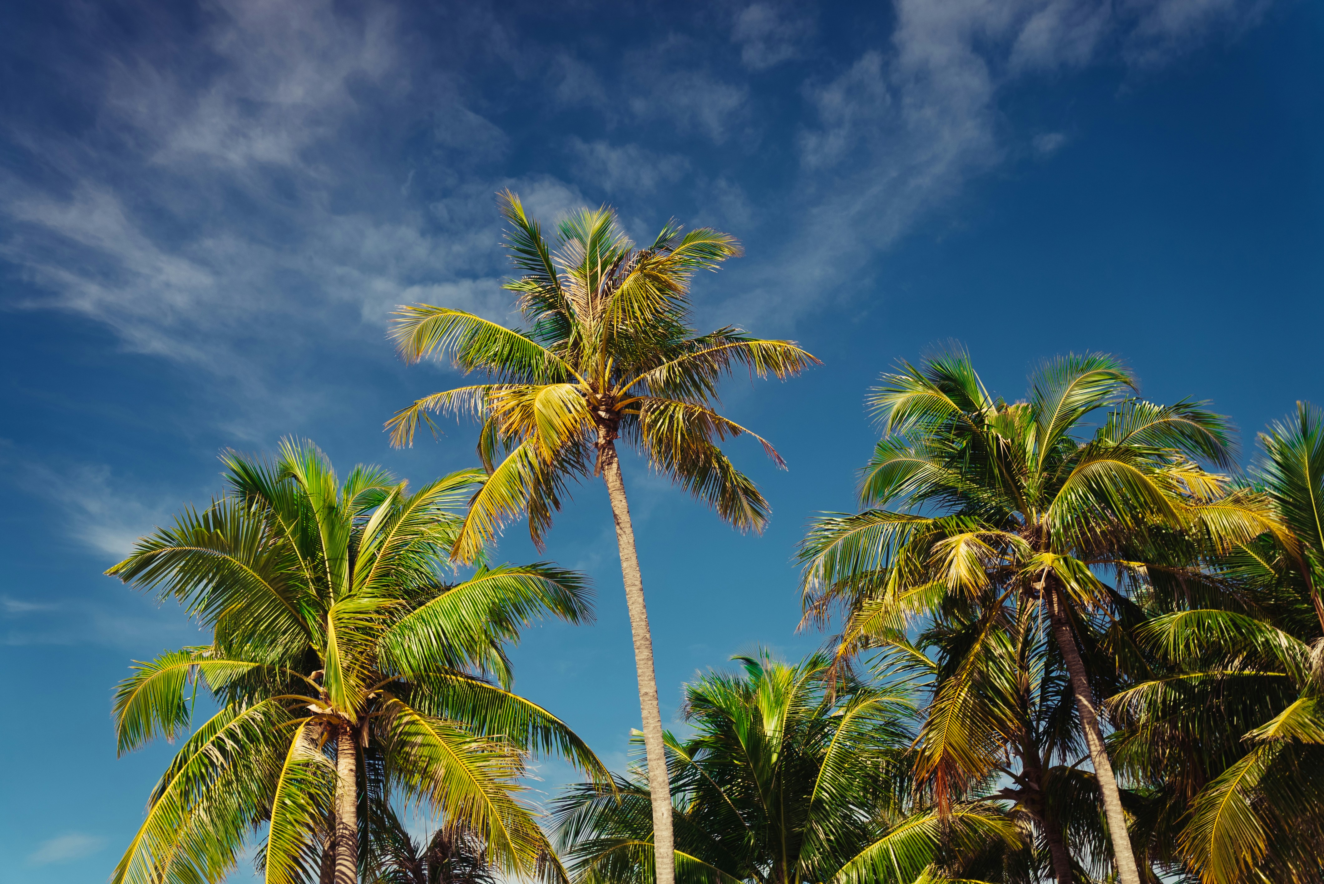 Photo by sergiujurca