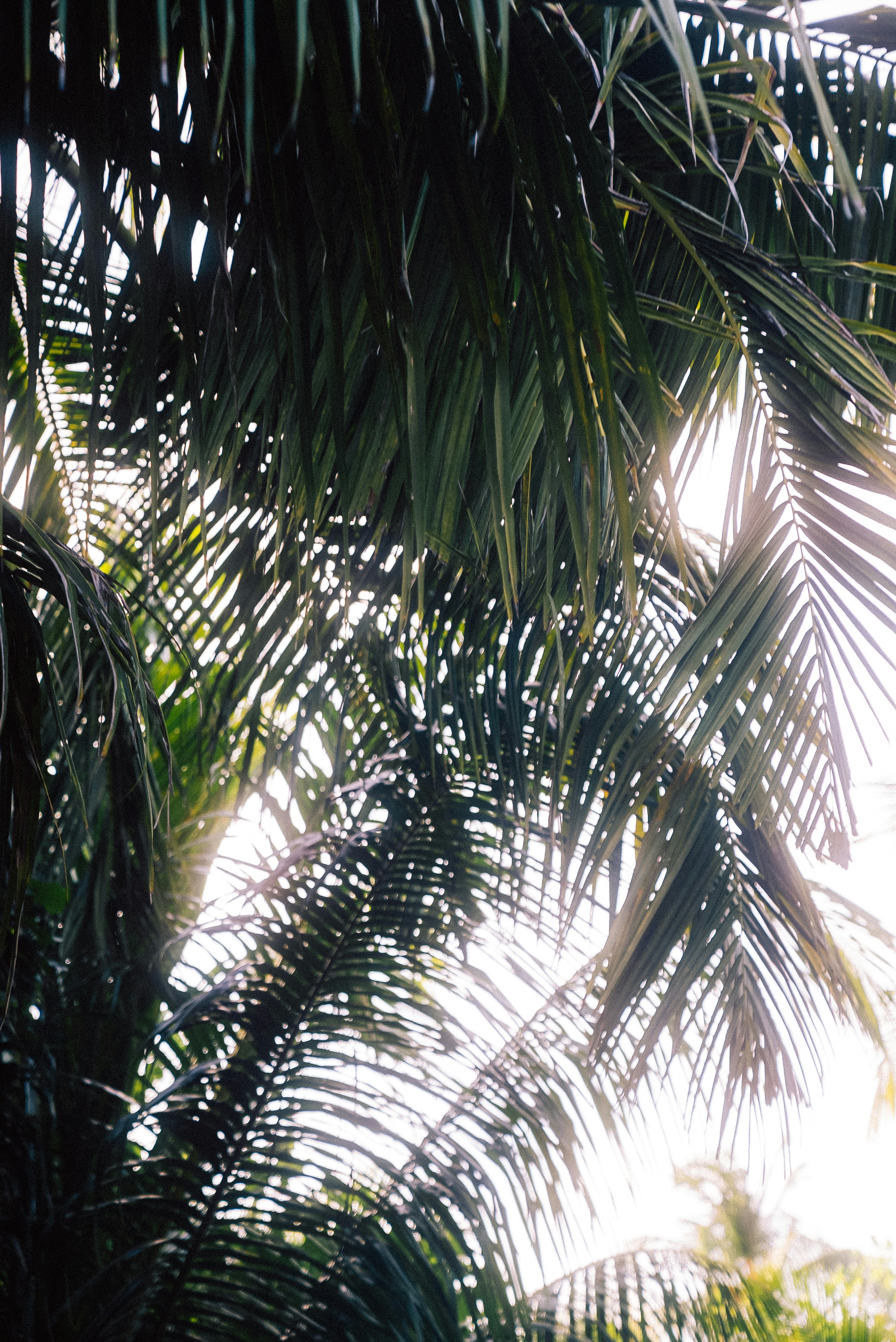 Photo by sergiujurca